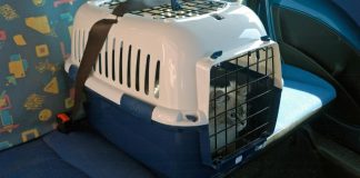 luchemos-vida-mascotas