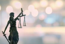 abogada indemnización deber profesional