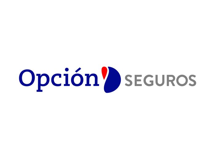opción seguros procesos autoinspector