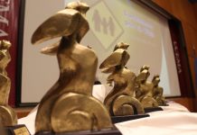 Se conocieron los ganadores de los Premios Luchemos por la Vida 2025 ganadores premios luchemos vida