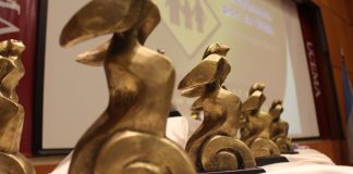 ganadores premios luchemos vida