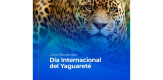 rus seguro protección yaguareté