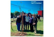 Nuevos árboles: Grupo San Cristóbal impulsó una jornada por los 300 años de Rosario árboles san cristóbal rosario