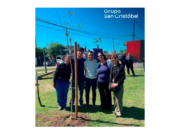 árboles san cristóbal rosario árboles san cristóbal rosario